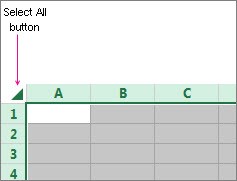 Select All button