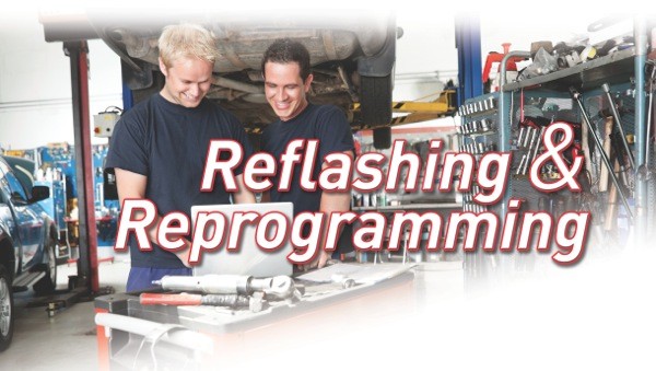 Automotive Technician Reprogramming a Car