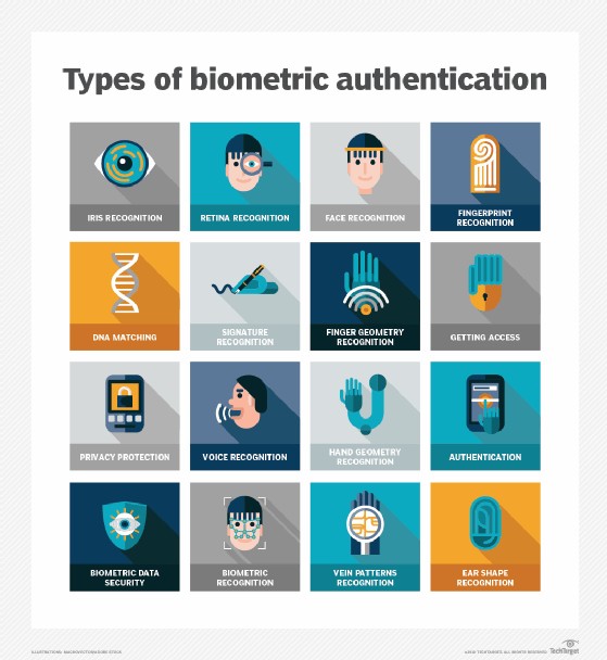 Illustration of Biometric Authentication for Vehicle Access